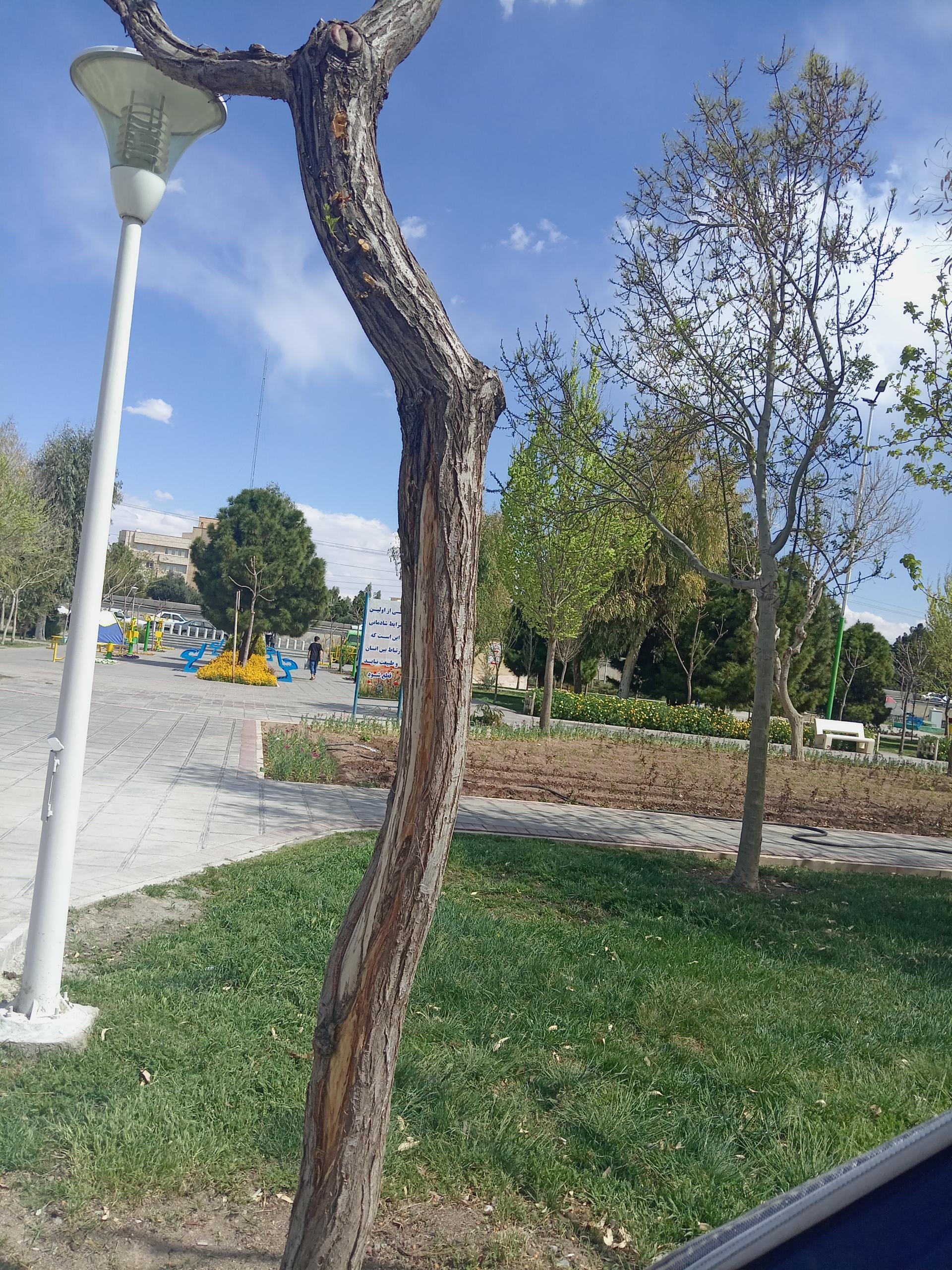 عکس بوستان مهدی