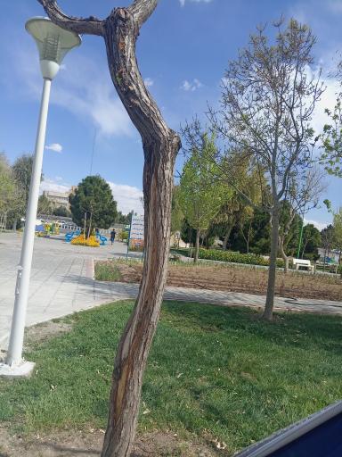 بوستان مهدی