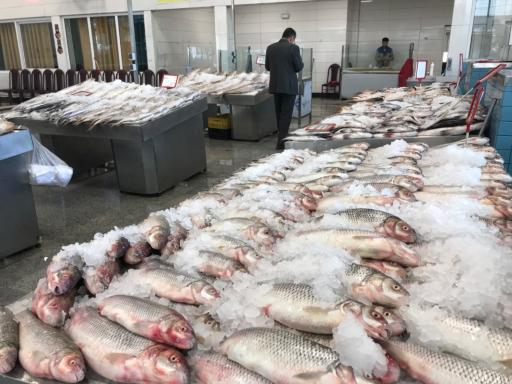 بازارچه تخصصی آبزیان و خوراکی های دریایی