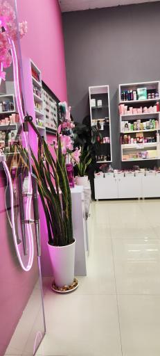  گالری آرایشی آنسه 