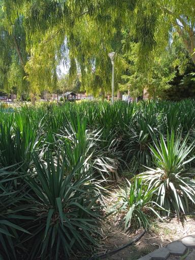 عکس بوستان مهدی