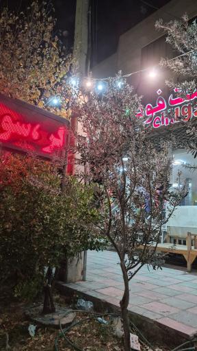 عکس رستوران هندی چیلگاری شعبه ۲