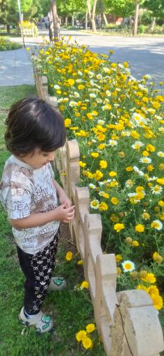 عکس بوستان مهدی