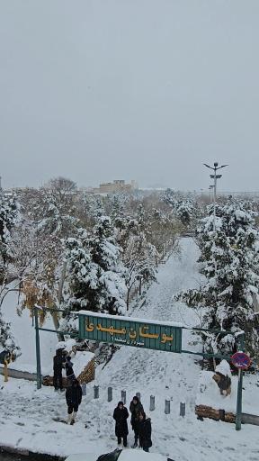 عکس بوستان مهدی