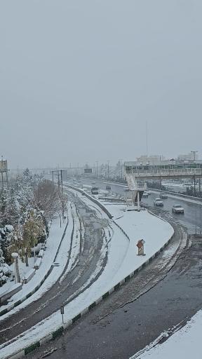 عکس بوستان مهدی