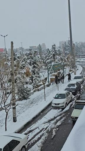 عکس بوستان مهدی