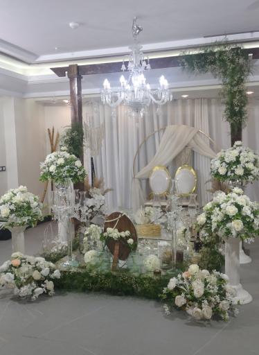 عکس پیوند ماندگار اسپرلوس ( دولت )