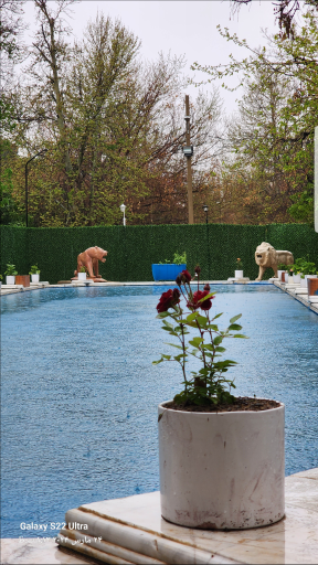 عکس باغ رستوران و بیرون بر هیرمان