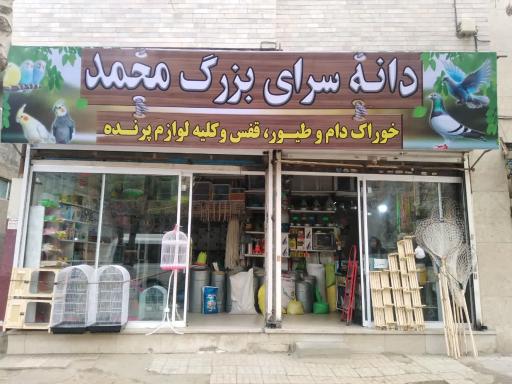 عکس دانه سرای محمد