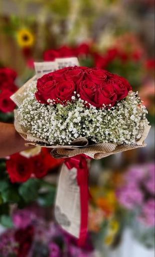 عکس گل ملل ۲