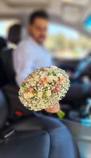 عکس گل ملل ۲