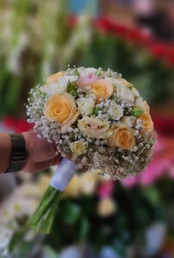 عکس گل ملل ۲