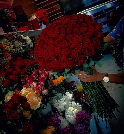 عکس گل ملل ۲