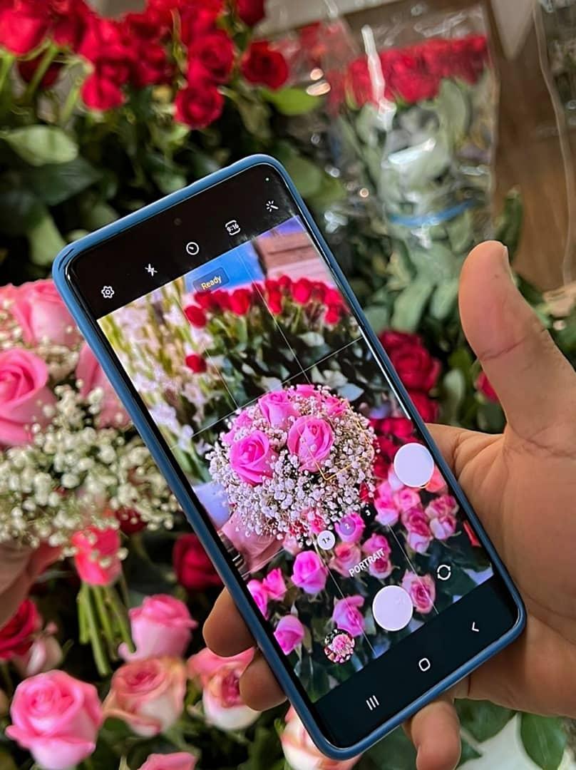 عکس گل ملل ۲