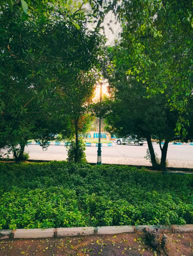 عکس بوستان افشاری