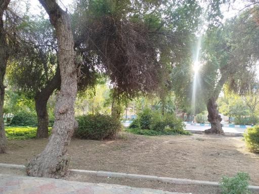 عکس پارک سه دختر