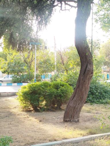 عکس پارک سه دختر