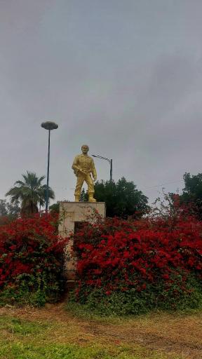 عکس بوستان افشاری