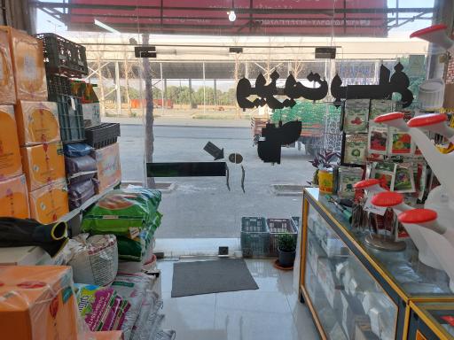 عکس داروخانه گیاهپزشکی طاووسیه 