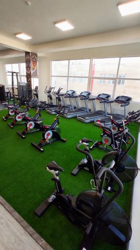 مجموعه ورزشی آرنا 