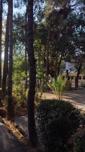 عکس دبیرستان دخترانه دوره دوم آل محمد