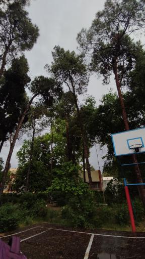 عکس دبیرستان دخترانه دوره دوم آل محمد