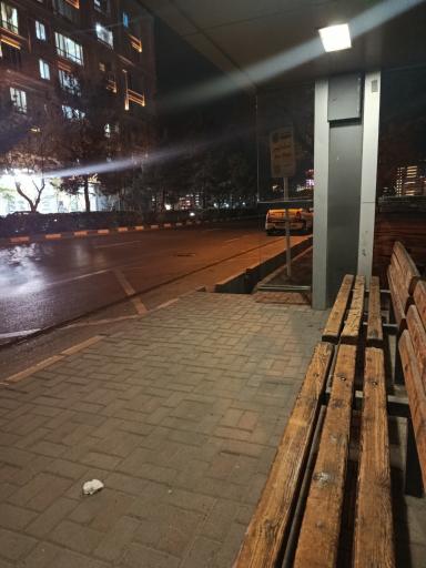 عکس  سجادیه 22