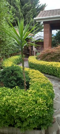 عکس بوستان ابیانه