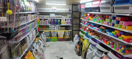 عکس پت شاپ لاکی پت شعبه ۳