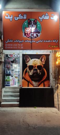 عکس پت شاپ لاکی پت شعبه ۳