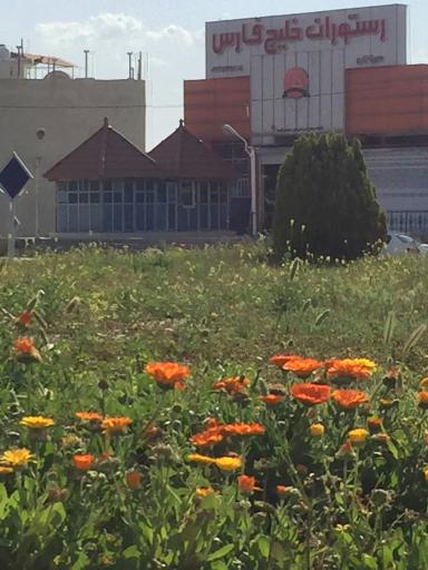 عکس رستوران خلیج فارس