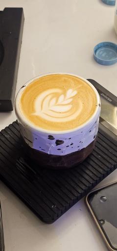 عکس مور کافی