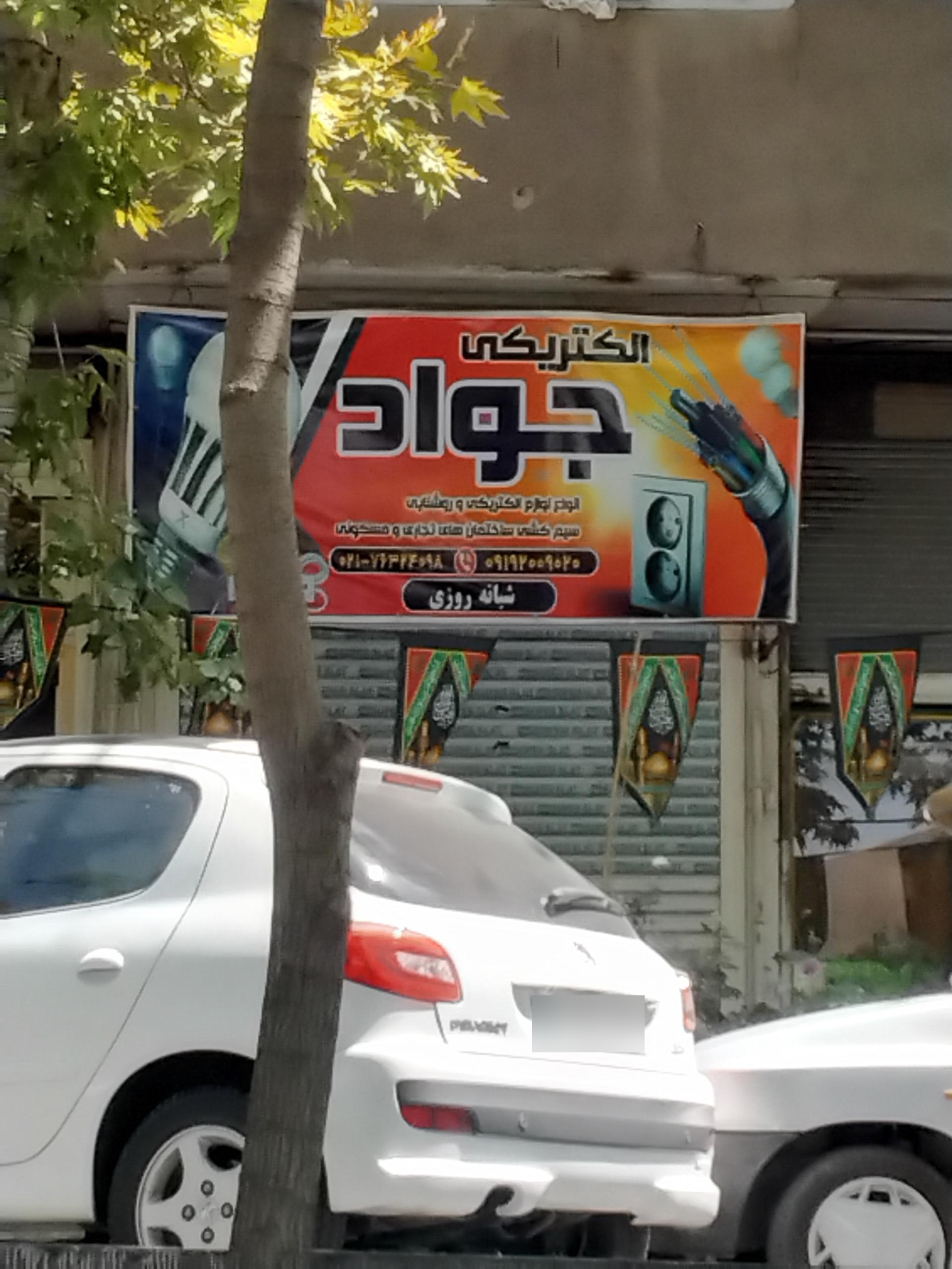 عکس الکتریکی جواد