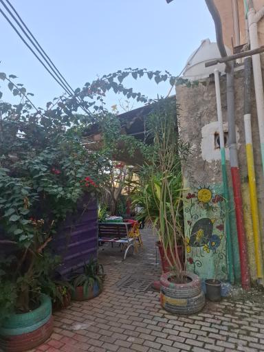 کوچه رنگی ننه معصومه 