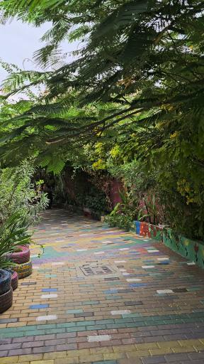 عکس کوچه رنگی ننه معصومه 