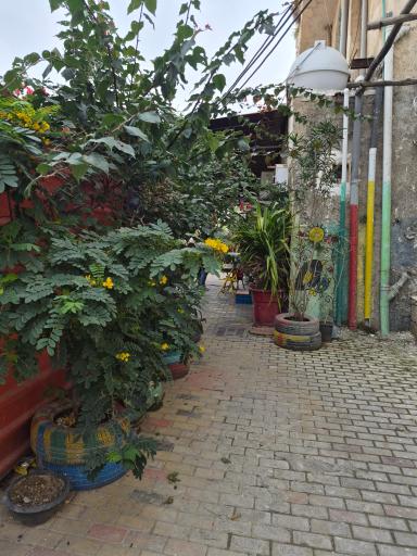 عکس کوچه رنگی ننه معصومه 