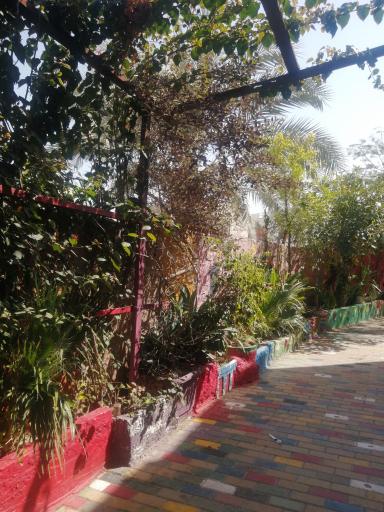 عکس کوچه رنگی ننه معصومه 