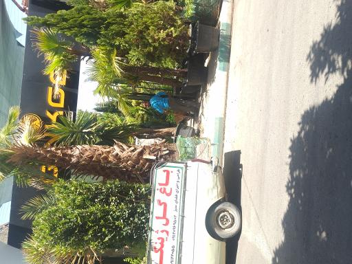 عکس گلفروشی ژینگو