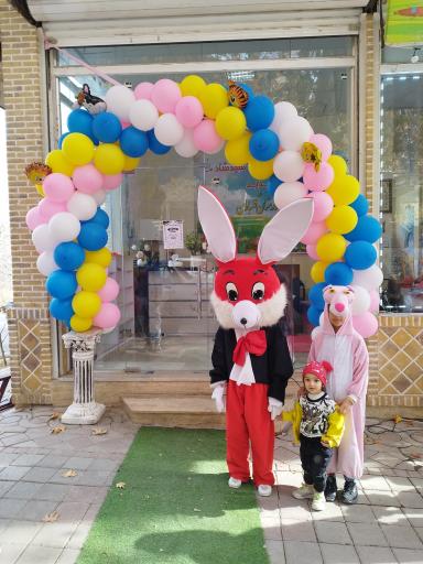 عکس مجموعه بازی شیدشاد