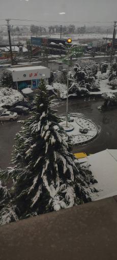 عکس بیمارستان شفا