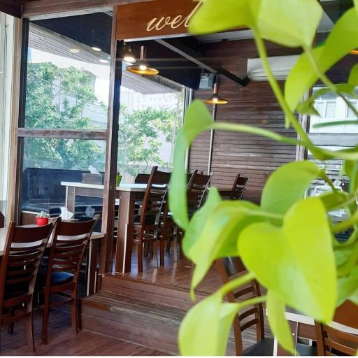 عکس فست فود کارا