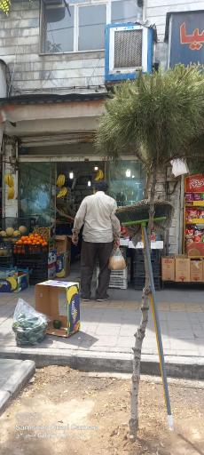 عکس میوه فروشی 