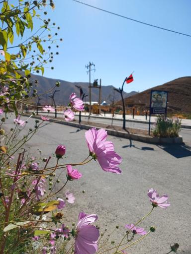 عکس بوستان شهید مشتاقی