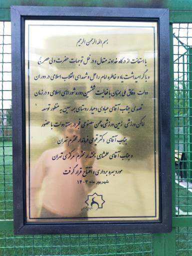 عکس زمین چمن مصنوعی روستای همه‌سین