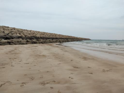 عکس ساحل سحرناز