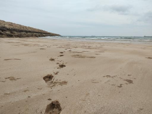 عکس ساحل سحرناز