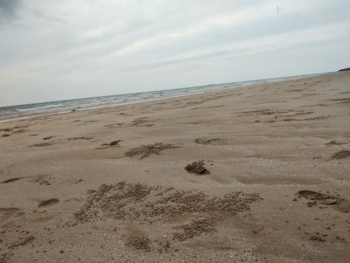 عکس ساحل سحرناز