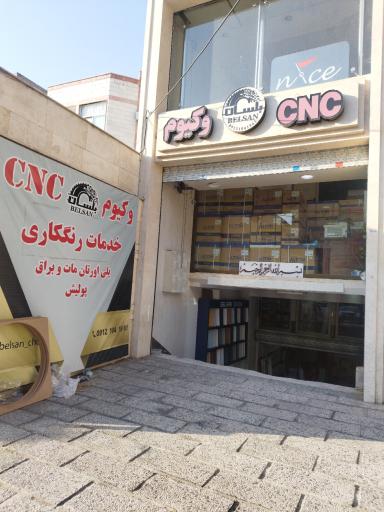 عکس بلسان چوب 