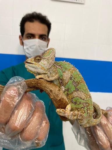 دامپزشکی یونا