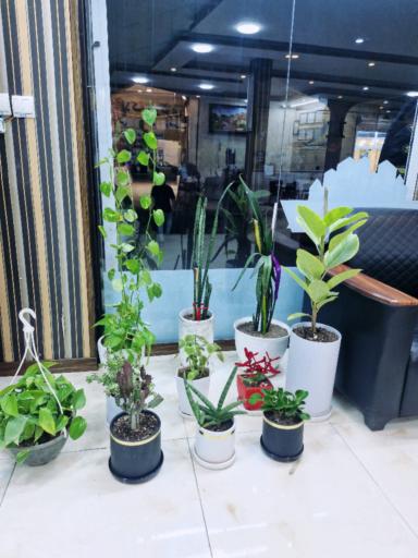 عکس مشاور املاک مرکزی